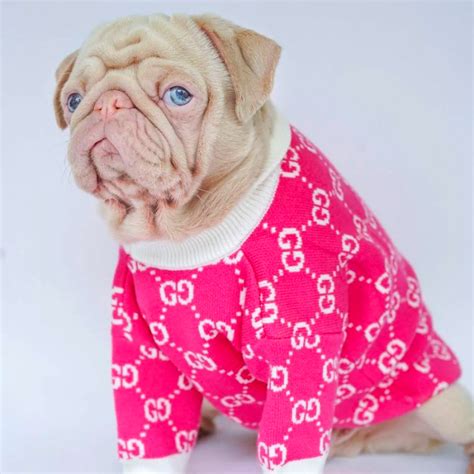 pink gucci dog clothes|gucci inspired dog clothes.